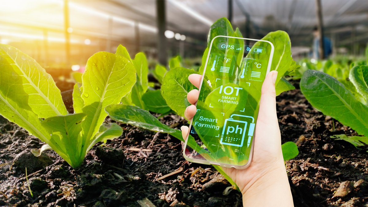 AGROPYLL AI Interface